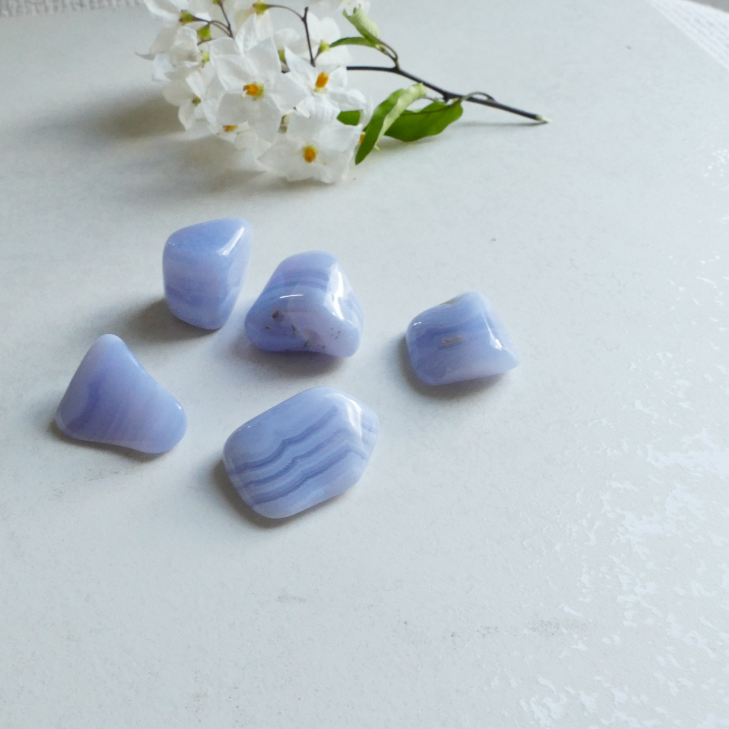 CHALCEDON
