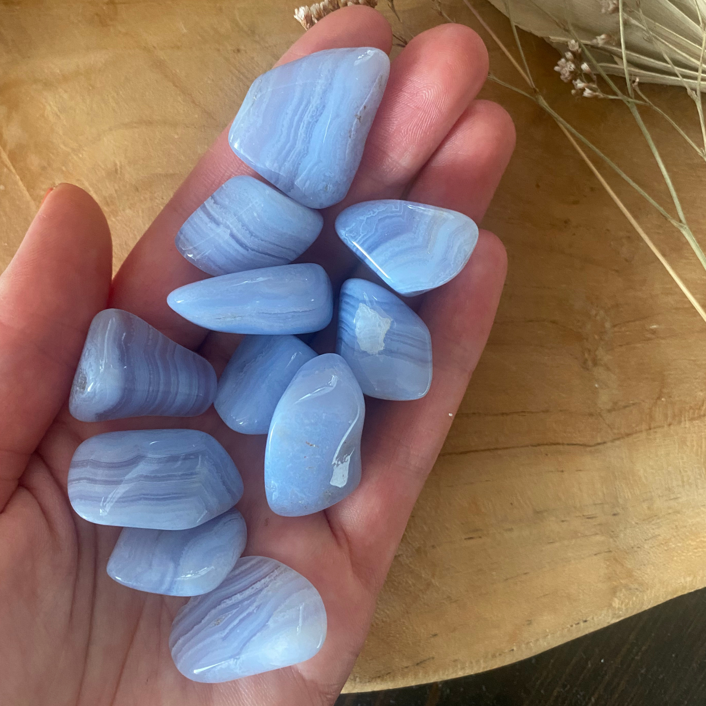 CHALCEDON